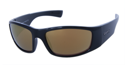 Clothing Spotters Coyote Plus Sunglasses -Cheap Ifish Store Coyote Gold 600x