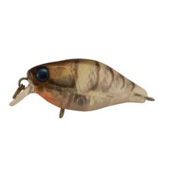 Lures Jackall Chubby 38 Shallow F -Cheap Ifish Store Ghost Shrimp 2 600x