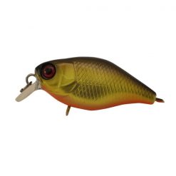 Lures Jackall Chubby 38 Shallow F -Cheap Ifish Store Gold Black 600x