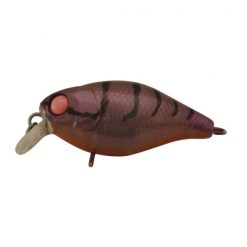 Lures Jackall Chubby 38 Shallow F -Cheap Ifish Store Pink Eye Suji 600x