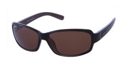 Spotters Whiskey Sunglasses -Cheap Ifish Store Whiskey Brown Halide 600x