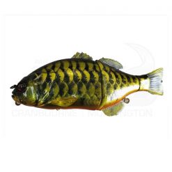 Murray Cod Lures Jackall Gantarel -Cheap Ifish Store jackall gantarel goldking 600x