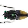 Lures Tiemco Jumbo Cicada -Cheap Ifish Store jumbocicada052 600x