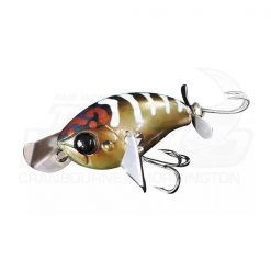 Murray Cod Lures Jackall Micro Pompadour -Cheap Ifish Store pompjr bugbugclrbrown 600x