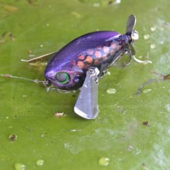 Murray Cod Lures Jackall Micro Pompadour -Cheap Ifish Store pompjr tgrazor 600x