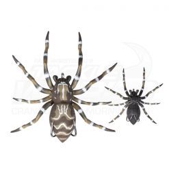 Lures Lunkerhunt Phantom Spider Topwater Lure -Cheap Ifish Store spider dock 600x