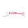 Lures Storm Twitchin Nipper Soft Plastic Unrigged -Cheap Ifish Store storm nip pearl pink 600x