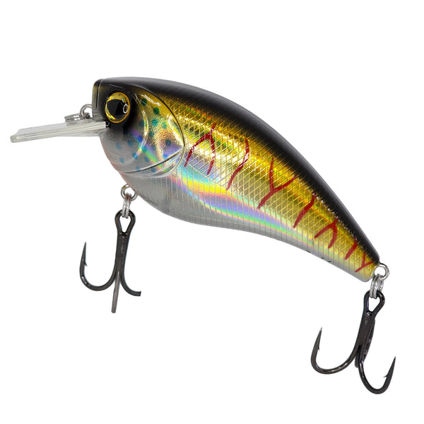 Bassman Spinnerbaits Lures Bassman Tubby Native Minnow 4 Bassman Spinnerbaits Lures Bassman Tubby Native Minnow - Image 2